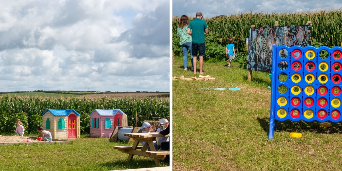 South Devon Maize Maze